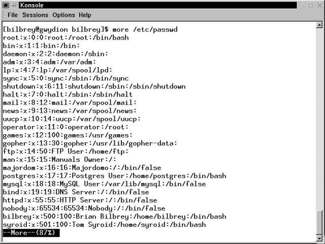 Terminal window with output from the more filter
